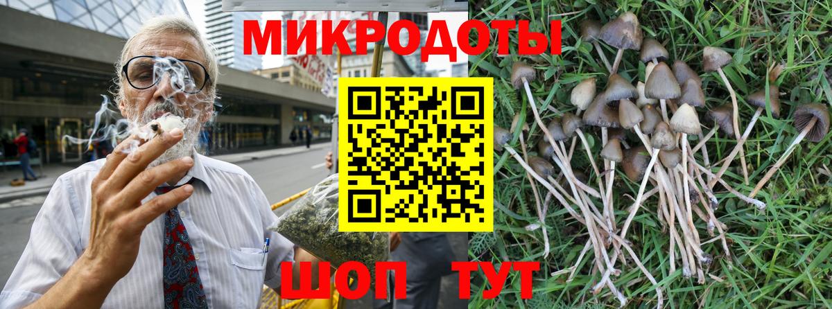 Ижевск  купить  сайты  Вход с VPN  Псилоцибиновые грибы Cubensis 